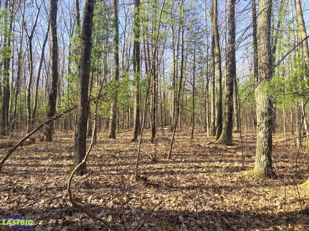 20 Acres of Wooded, Vacant Land in Manistee County, MI